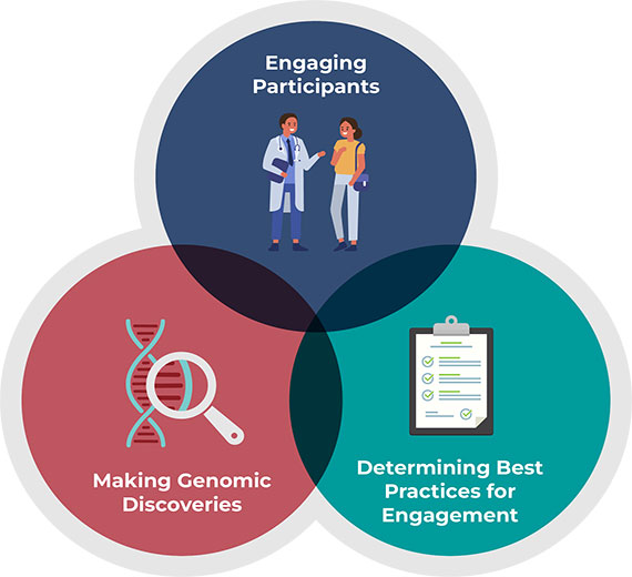 Each of the PE-CGS U2C Research Centers have an Administrative Core and three units: the Participant Engagement Unit, the Genome Characterization Unit, and the Engagement Optimization Unit