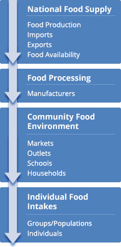 Image: an arrow shows the flow of foods through the four levels of the food stream: National Food Supply, Food Processing, Community Food Environment, and Individual Food Intake.