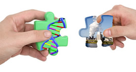 A pair of hands holding puzzle pieces representing the different parts of Gene Environment research.